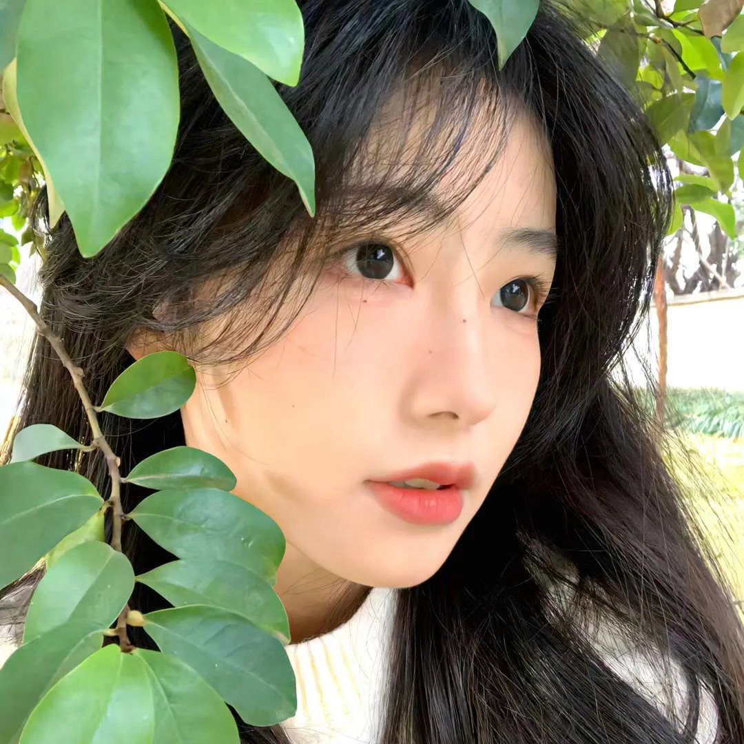 最佳女婿