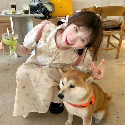 机械怪兽